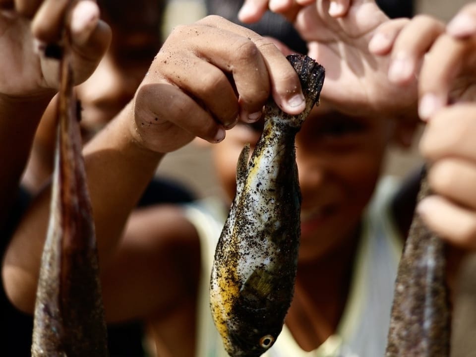 Kinder halten frisch gefangene Fische.