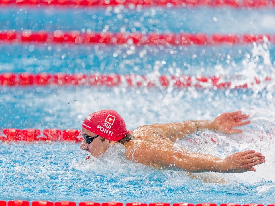 Schwimmer beim Wettkampf, Schmetterlingsstil im Pool.