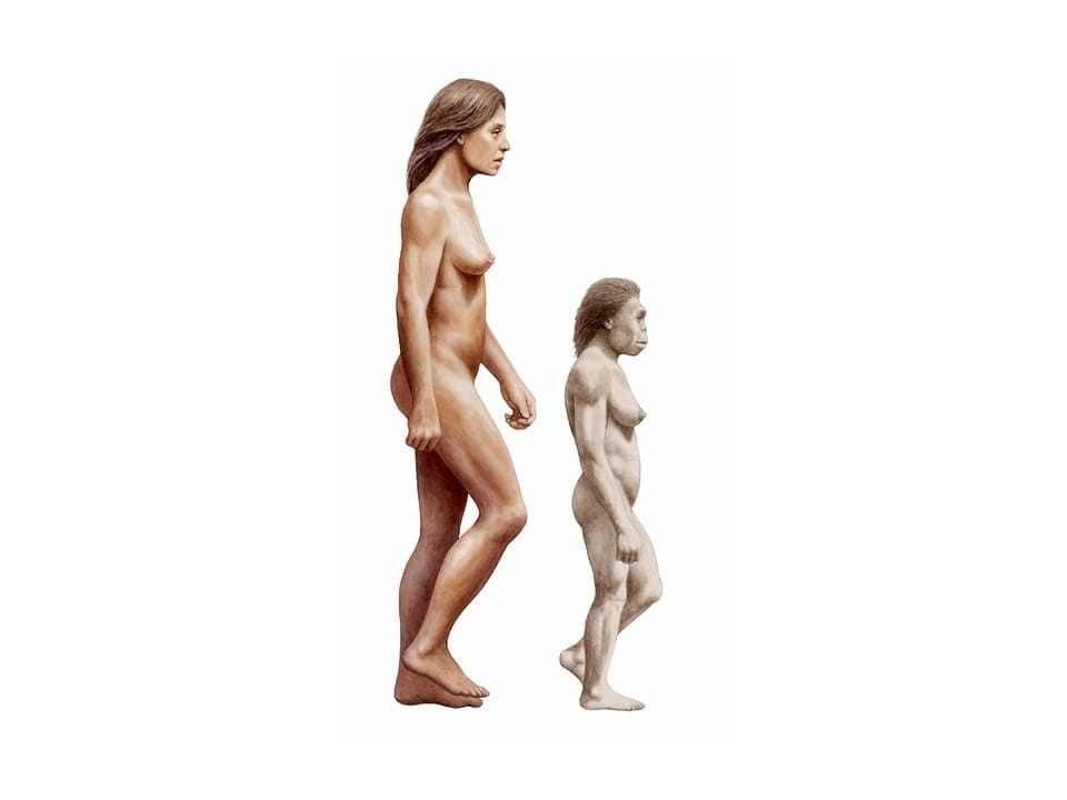 Auf dem Bild ist ein Homo Floresiensis im Vergleich mit dem Homo Sapiens zu sehen.