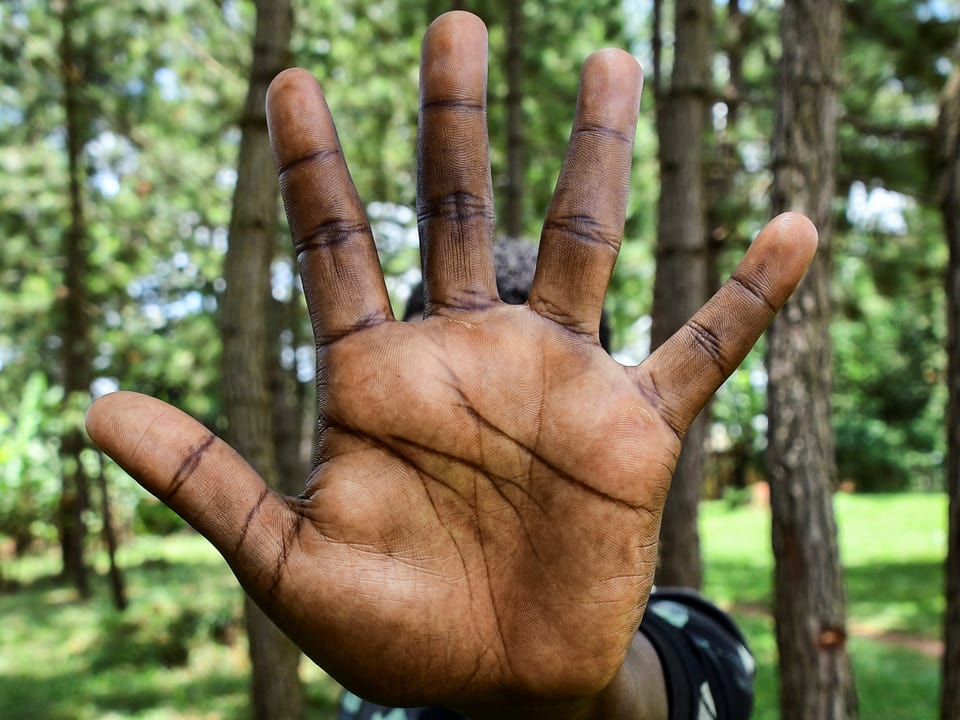 Handfläche eines ausgestreckten Arms im Wald