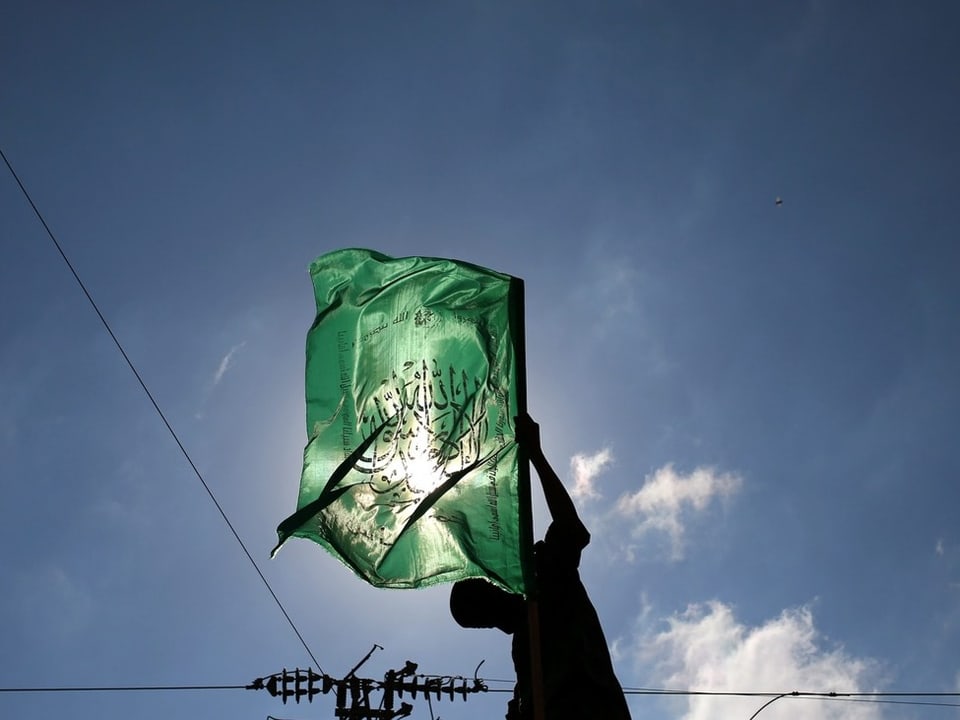 Person hält grüne Flagge vor blauem Himmel.