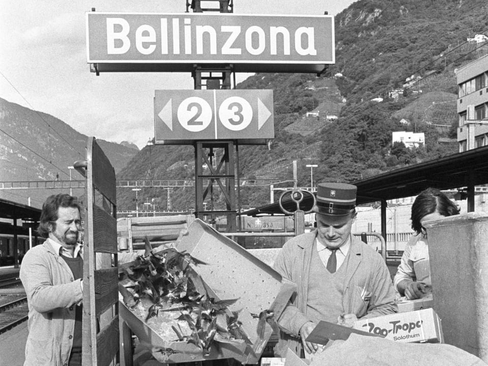 Wagen am Bahnhof Bellinzona