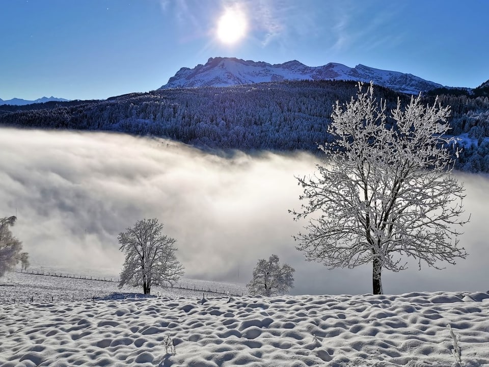 Traumhaftes Winterwunderland mit Blick auf den Pilatus.