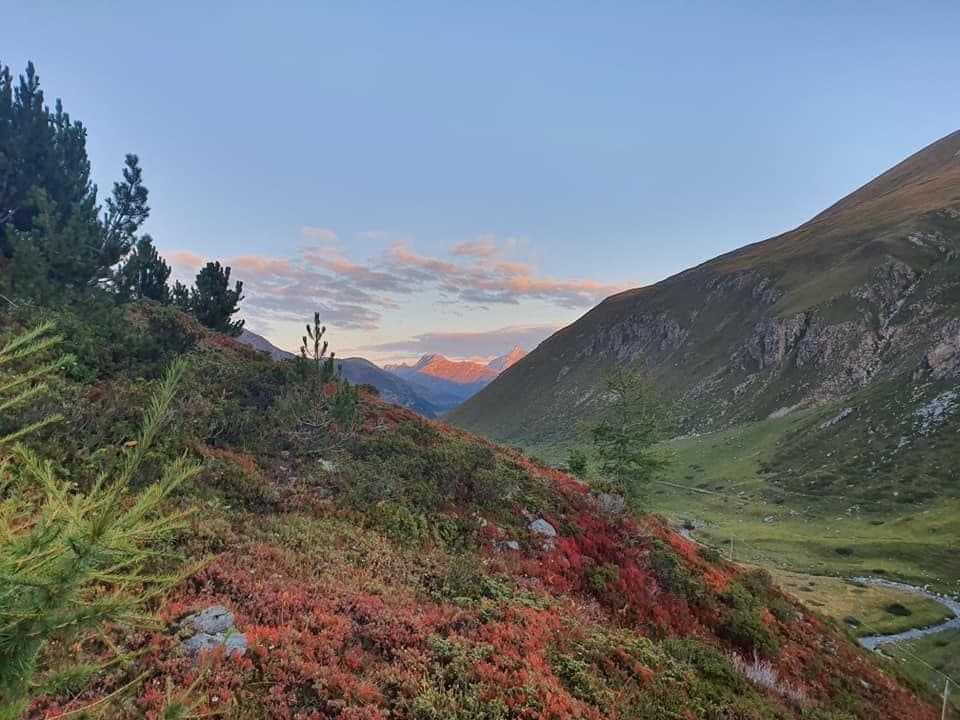 Ina cuntrada alpina.