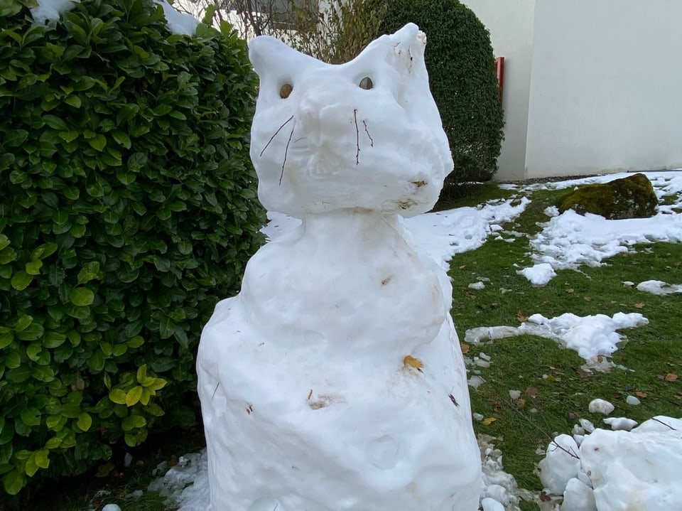 Schneeskulptur einer Katze im Garten.