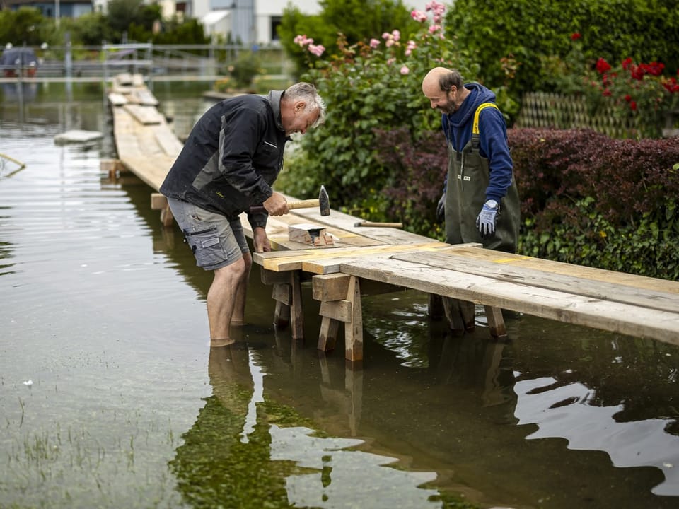 Zwei Männer bauen einen Holzsteg in flachem Wasser.
