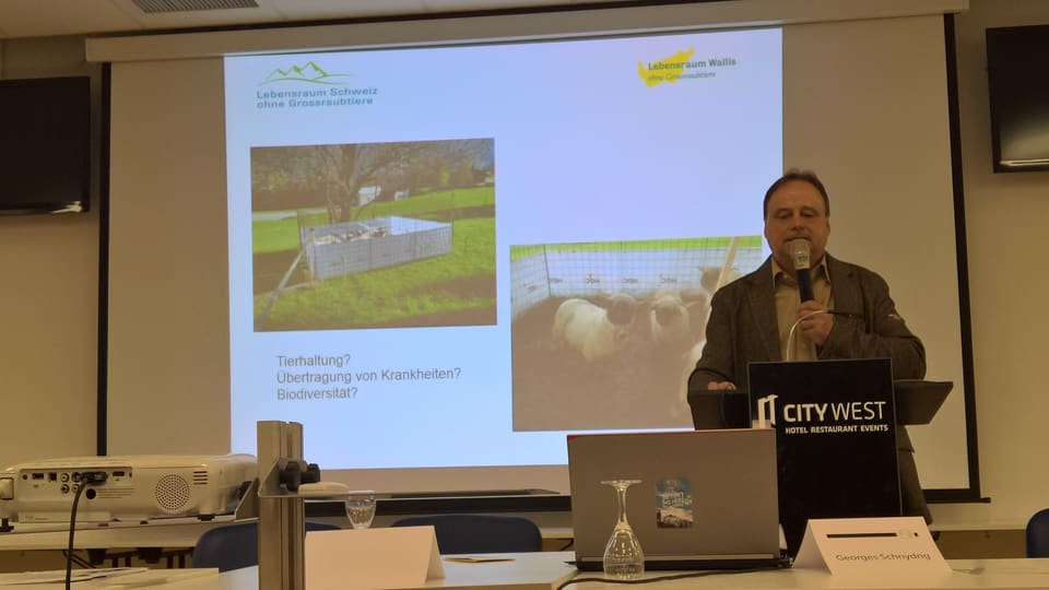 Georges Schnydiger, president da l'uniun «Svizra senza animals da rapina gronds».