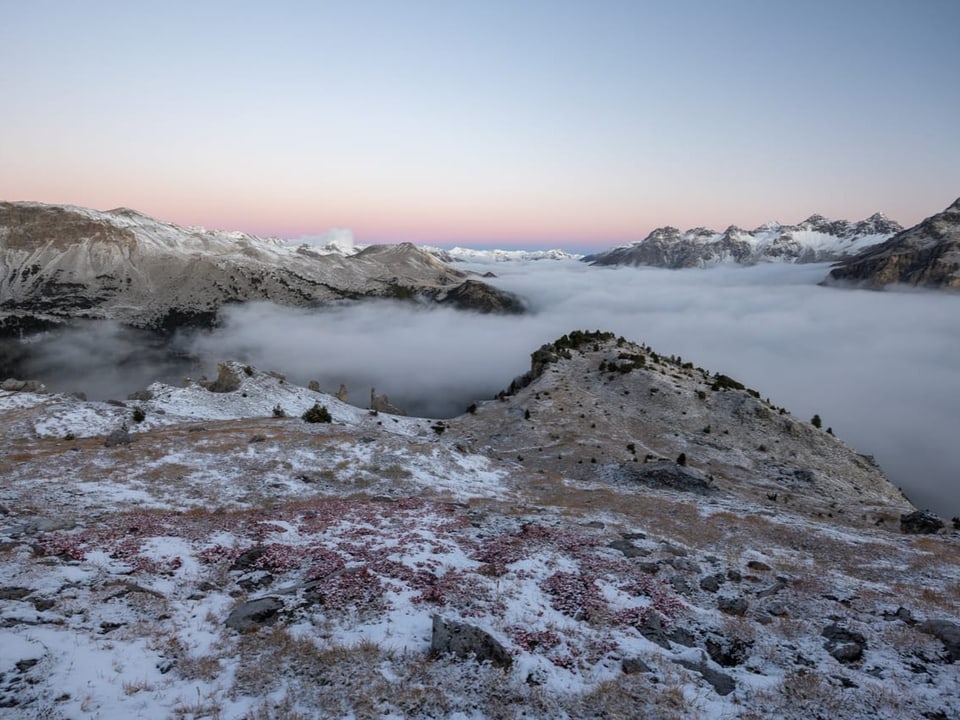 über dem Nebelmeer