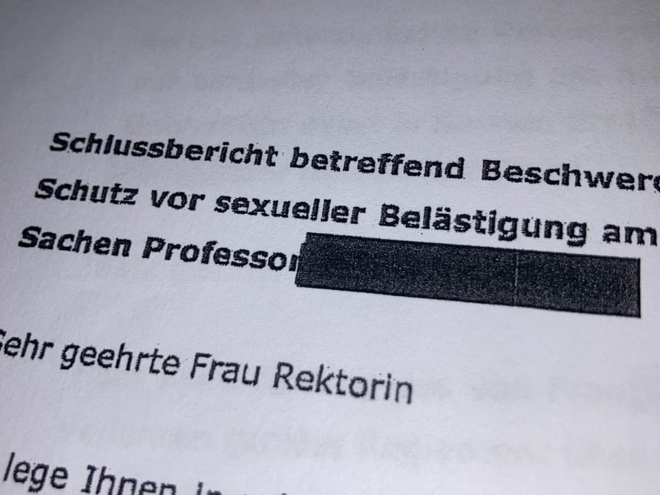 Auszug aus dem Schlussbericht