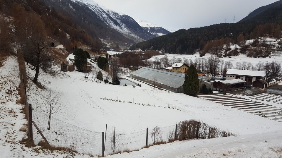 Ina varianta prevesa il sviament tras questa parcella da la orticultura a Susch.