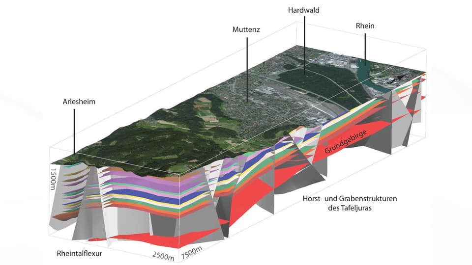 Ausschnitt des 3-D-Modells zwischen Arlesheim und Rhein (Gebiet Muttenz). 