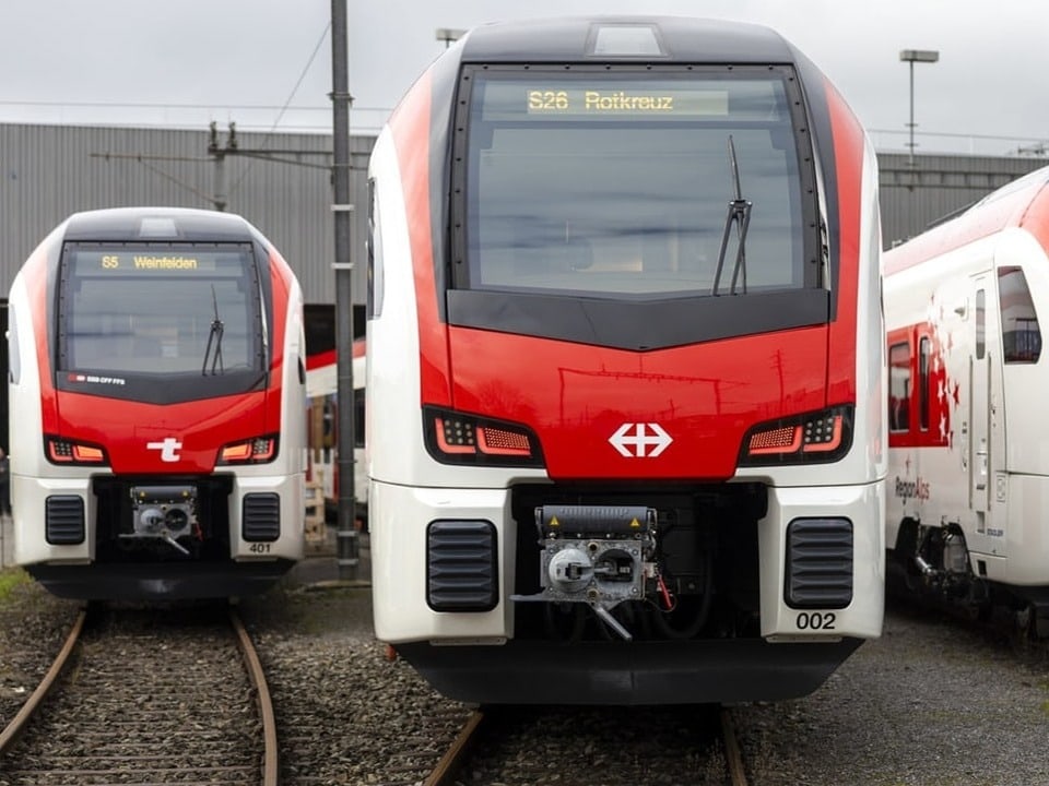 Zwei rote Regionalzüge an Gleisen im Bahndepot.