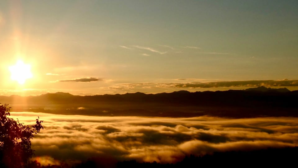 Die aufgehende Sonne scheint auf ein leicht quellendes Nebelmeer.