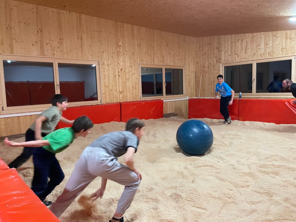 Schwingtraining Medizinball