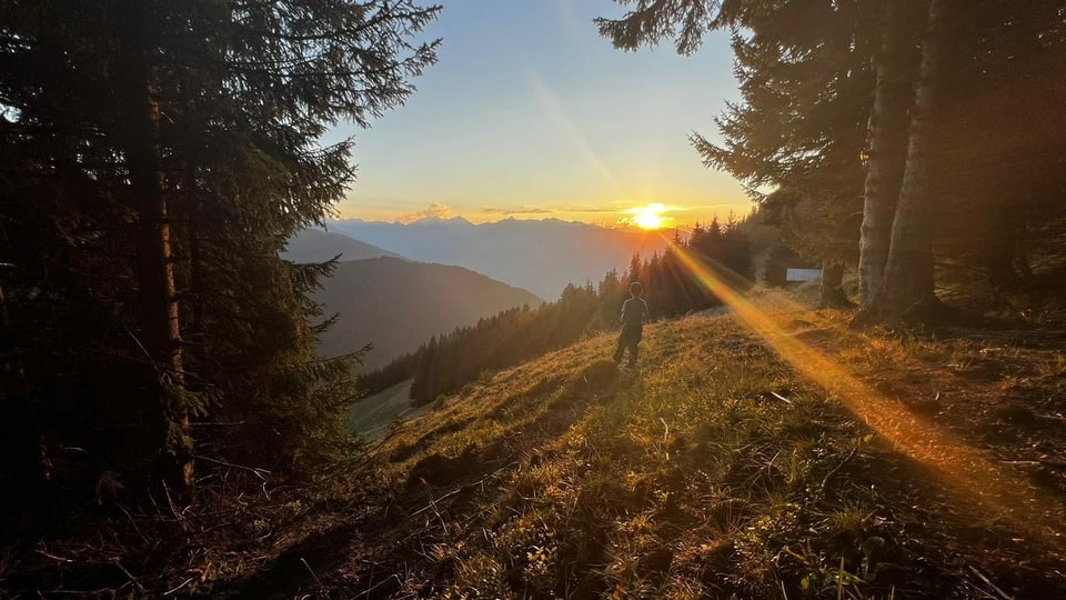 Jagdimpression, Junge im Sonnenuntergang.