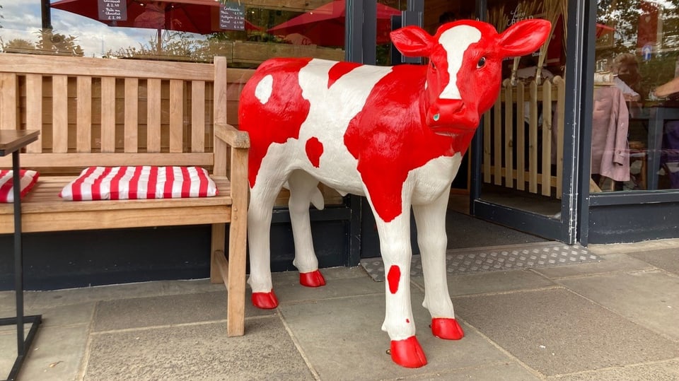 Eine rot-weisse Kuh steht vor dem Geschäftseingang.