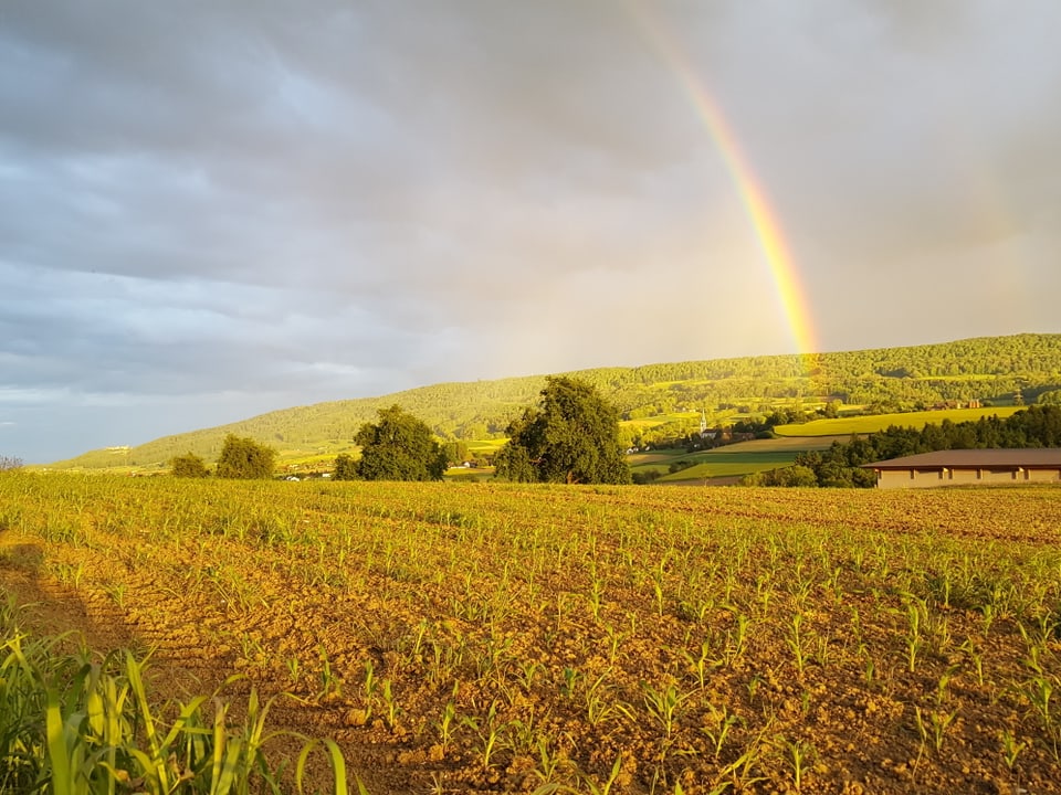 Regenbogen im Hintergrund.