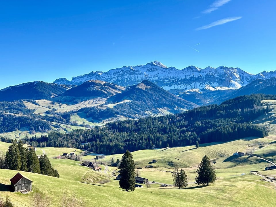 Grüne Voralpen Landschaft mit verschneitem Alpstein im Hintergrund.