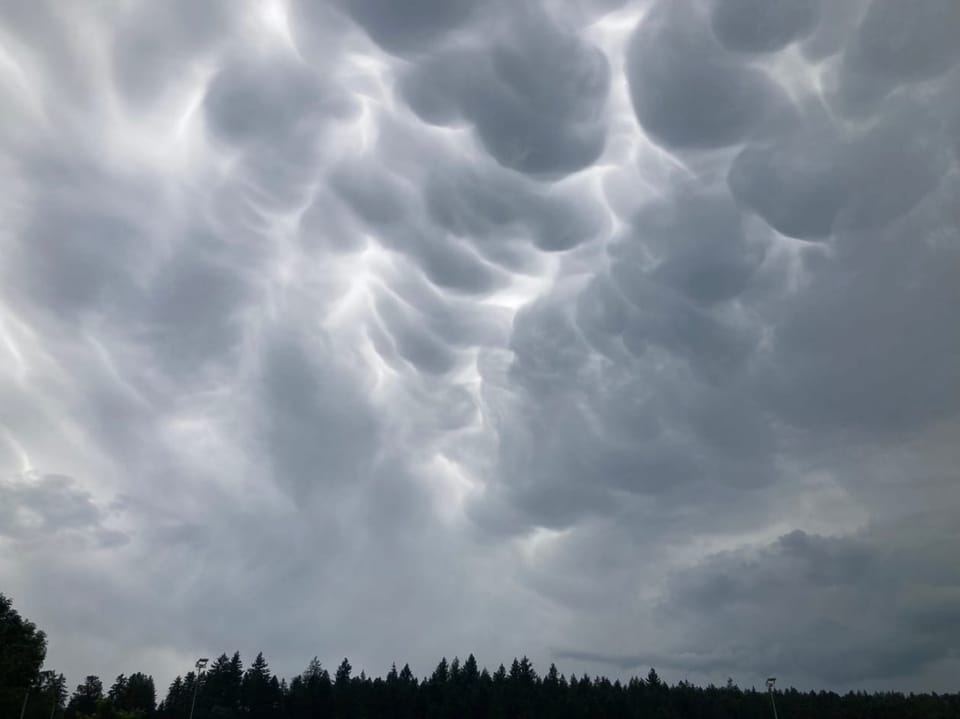 Beeindruckende Wolkenformation über einem Wald.