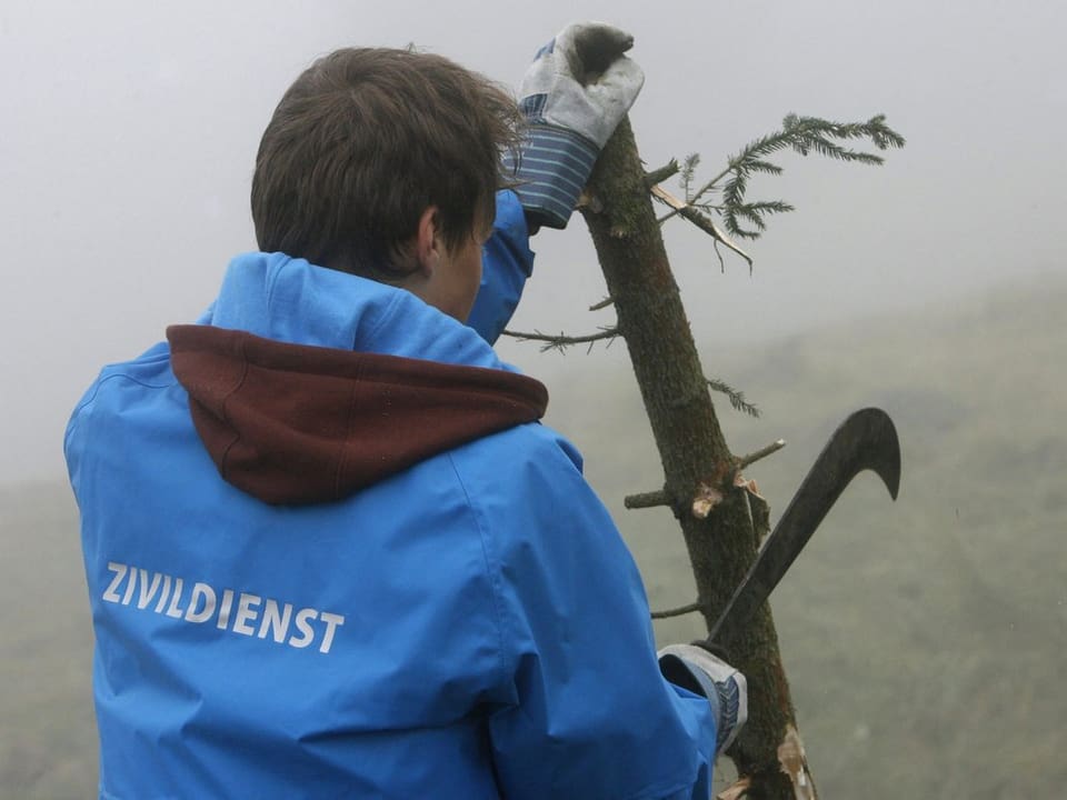 Zivildienststellen umfassen diverse Tätigkeitsbereiche, zum Beispiel Förster.