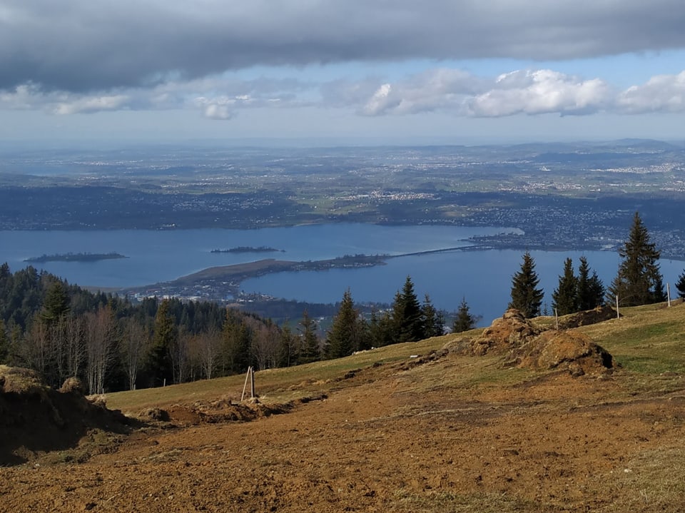 Ausblick vom Berg hinunter auf den Zürichsee.