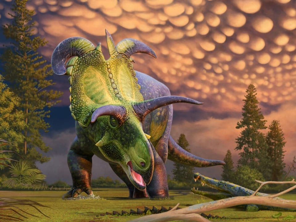 Farbige Illustration eines Lokiceratops rangiformis.