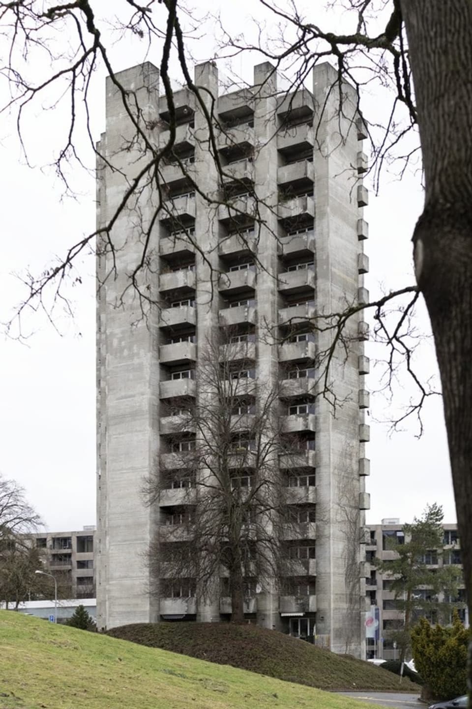 Betonhochhaus neben einem Baum fotografiert.