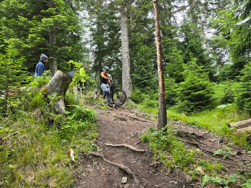 Die Kursteilnehmer werden angeleitet wie ein Wanderweg optimieren können damit Bikes und Wanderer konfliktfrei bleiben.