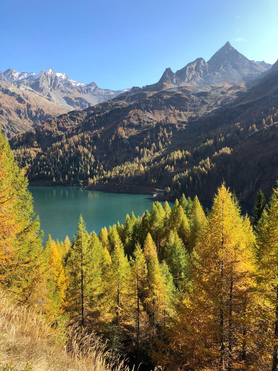 Alpenlandschaft mit See und herbstlichen Bäumen.