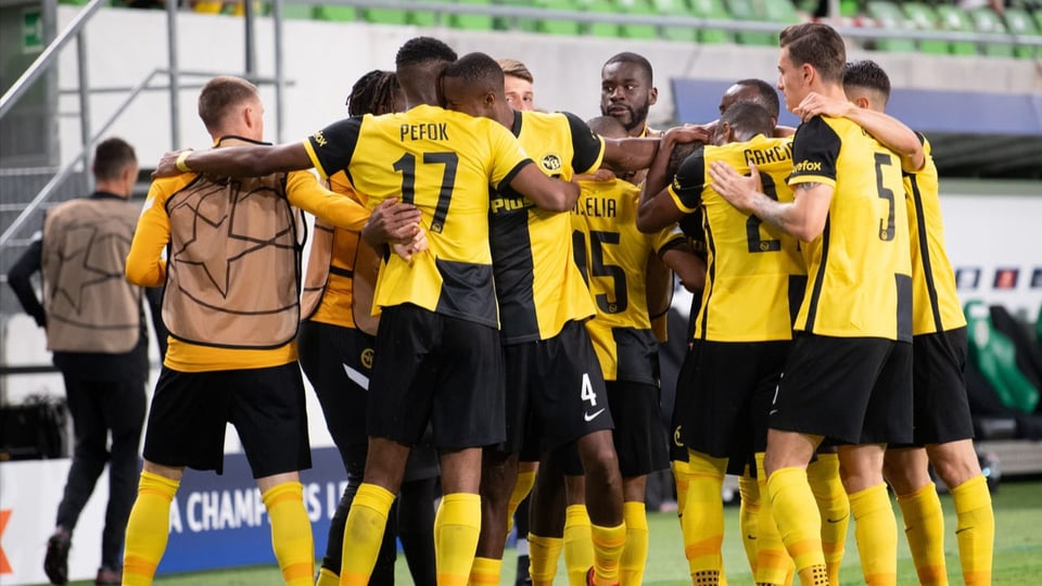 Champions League - Ils Young Boys giogan questa stagiun en ...