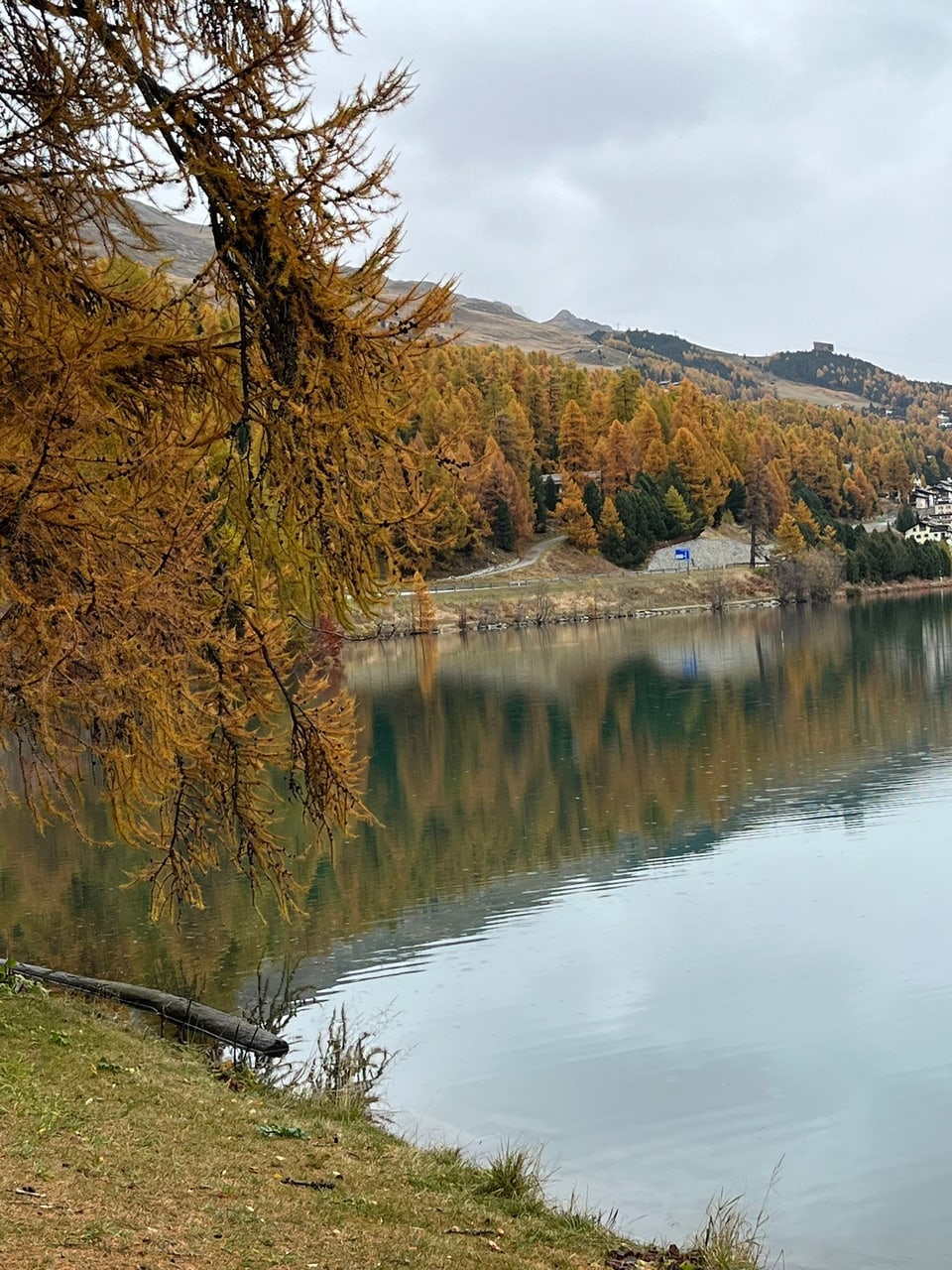 Herbstlandschaft mit See, Bäumen und Bergen.