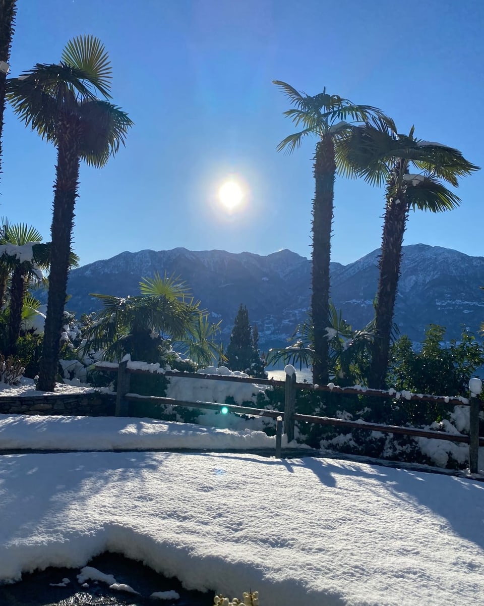 Winterlandschaft mit Palmen, Sonne und Bergen.