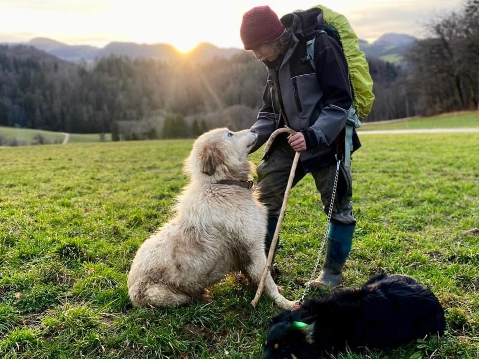 Sarah Müri und ihre Hirtenhunde.