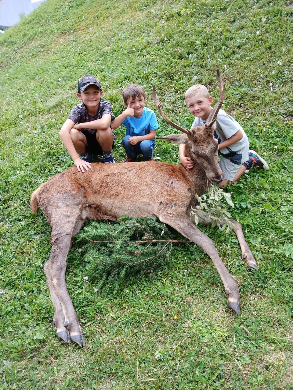 Drei Kinder posieren mit einem Hirsch auf einer Wiese.