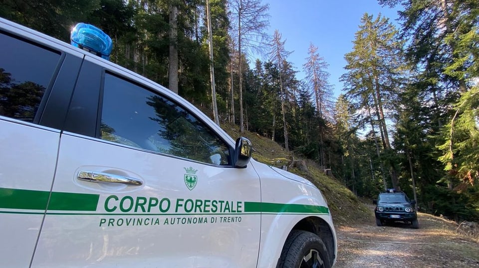 Ein Auto der Förster steht im Wald im Trentino (nach Tod des Joggers)