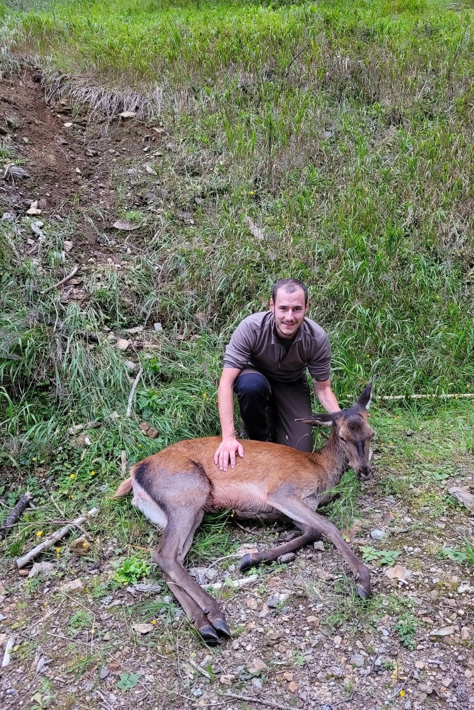 chatschadur cun vatga-tschierv sajettà