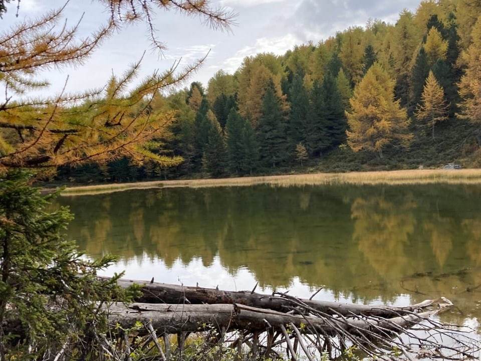 See mit Herbstwald im Hintergrund.