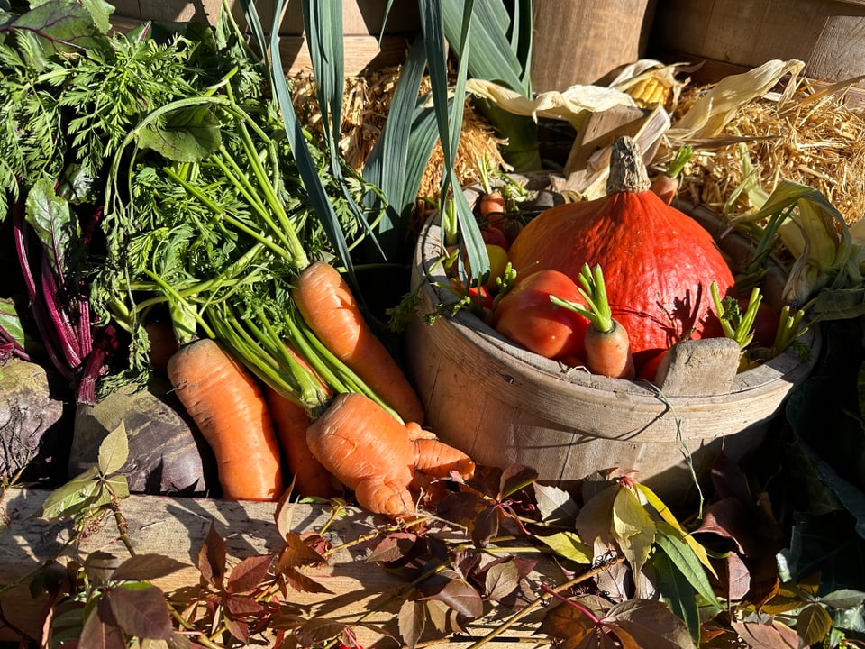 Frisches Gemüse mit Karotten und Kürbis auf Holztisch.