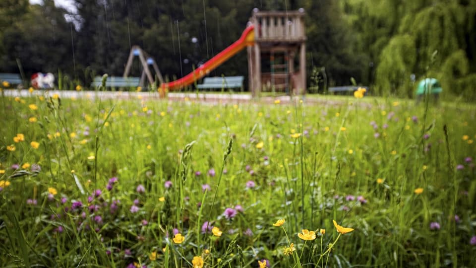 Spielplatz.