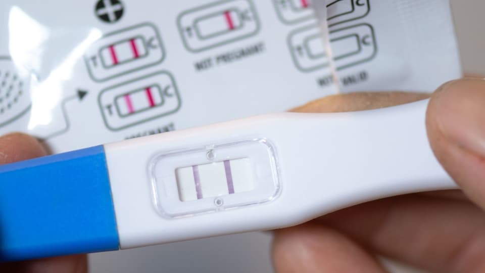 Schwangerschaftstest