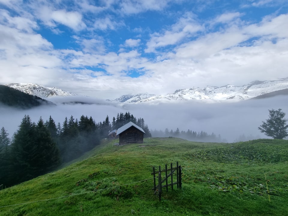 Eine grüne Alpwiese, dahinter über einem Wolkenmeer eine alpine Landschaft mit Schnee.