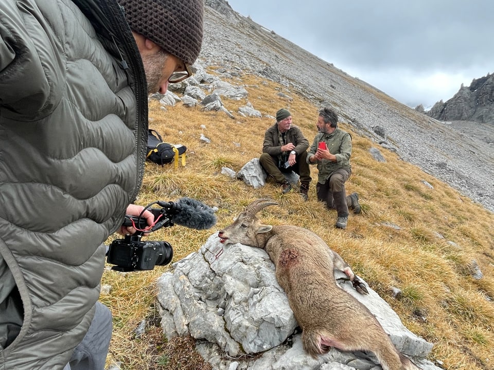 Mann filmt zwei Personen neben erlegtem Steinbock in bergiger Landschaft.