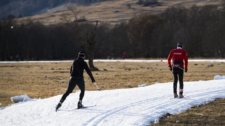 Zwei Langläufer auf einer Loipe, neben der Loipe hat es keinen Schnee