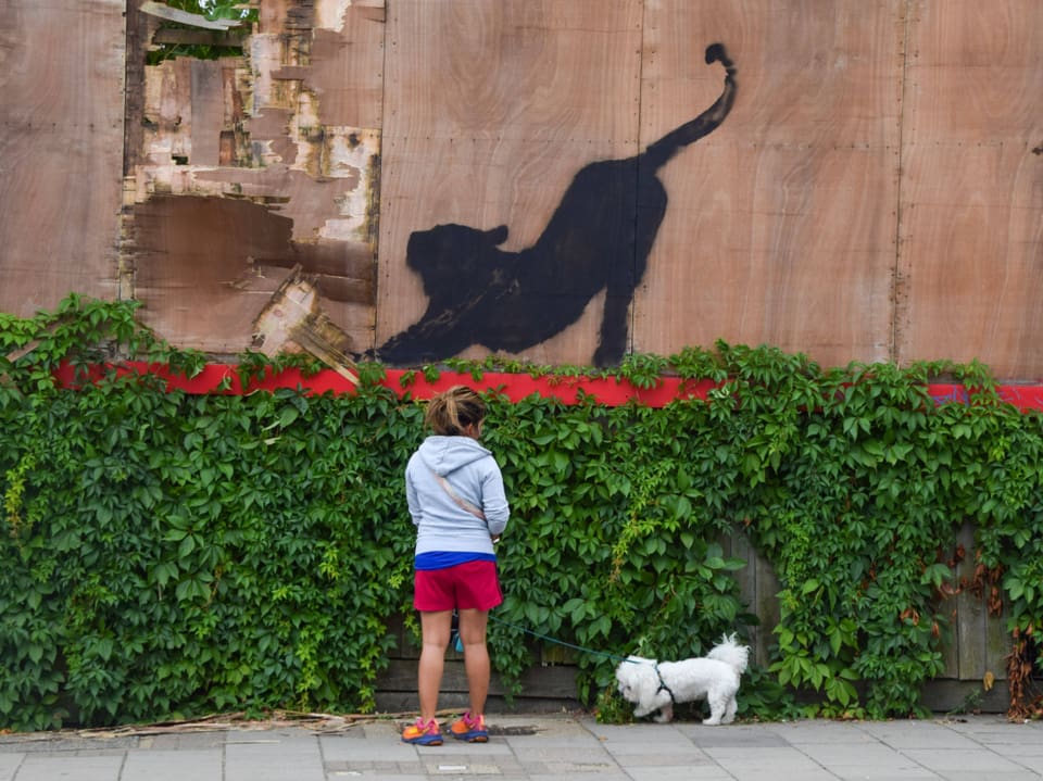 Frau mit Hund steht vor Holzzaun mit schwarzem Panther-Graffiti.