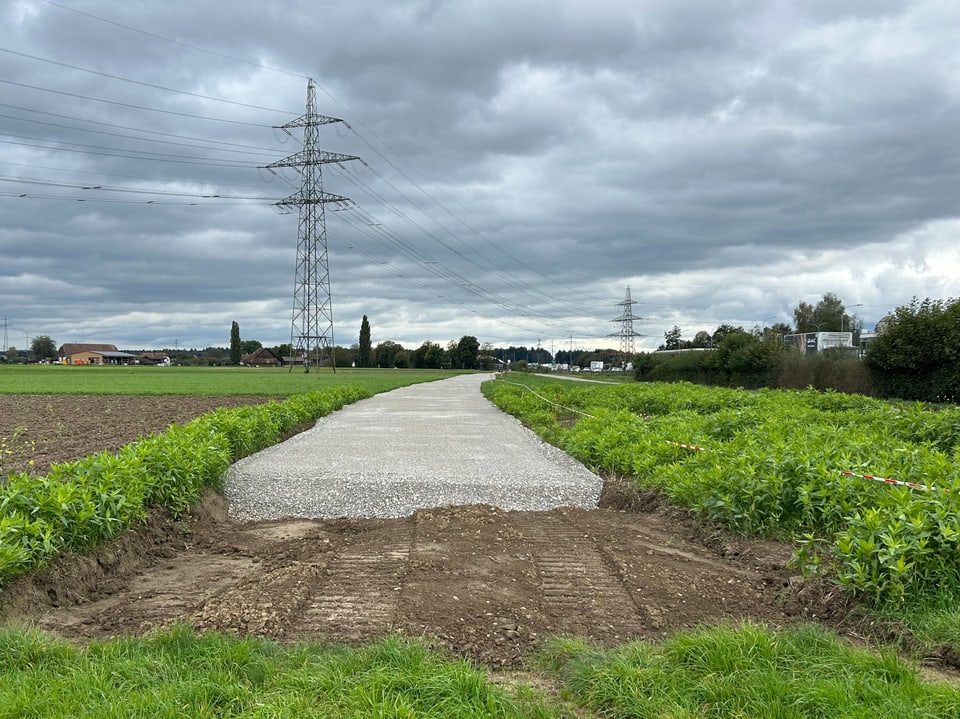 Kiesweg durch Feldlandschaft unter wolkigem Himmel.