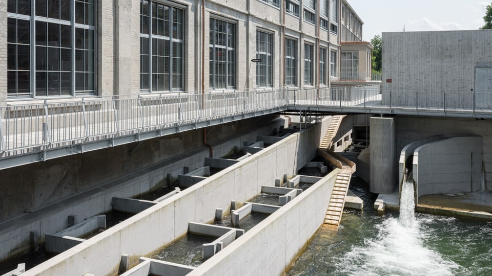 Blick auf eine Fischtreppe. Biber können über einen Holzsteg das Kraftwerk umgehen.