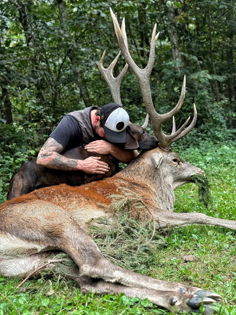 Mann umarmt liegenden Hirsch im Wald.