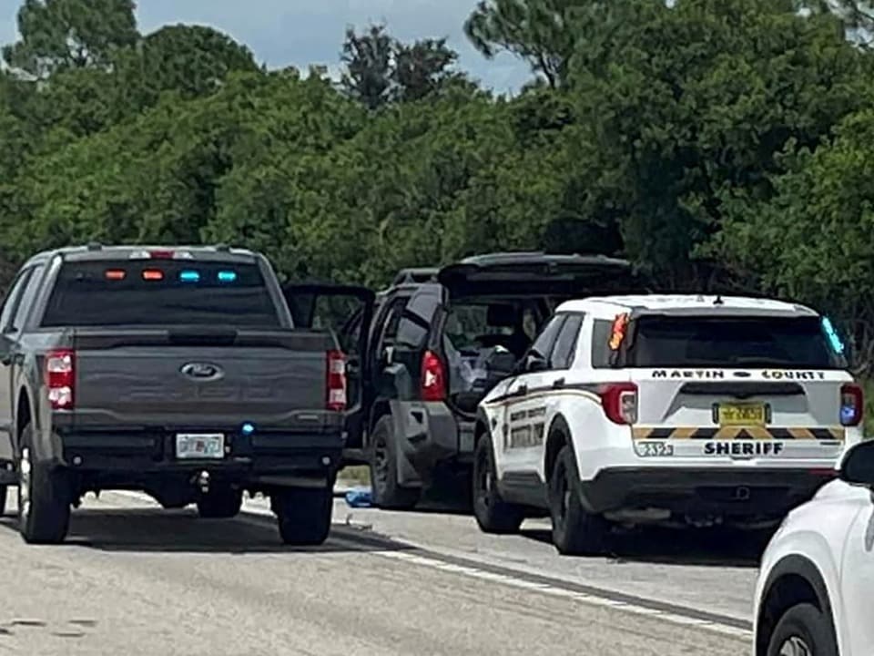 Polizeiautos und Fahrzeuge auf einer Autobahn.