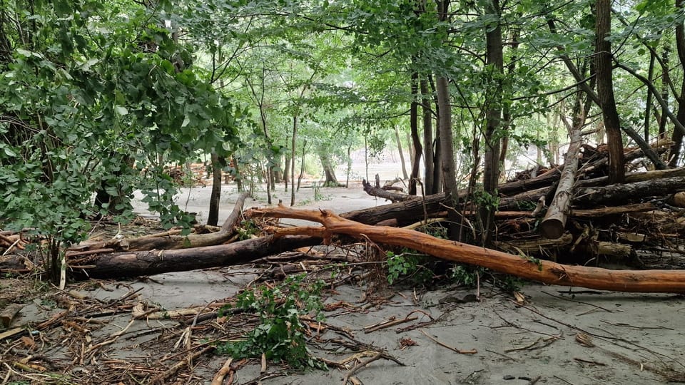 Umgestürzte Bäume und überschwemmte Pfade bei Ponte Brolla im Tessin.