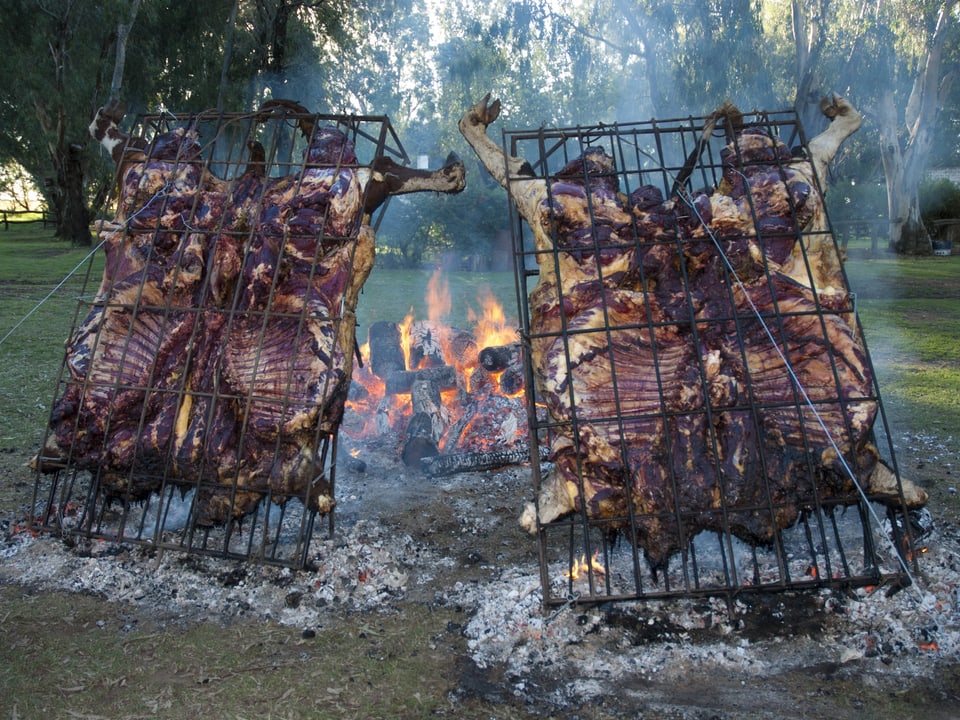 Zwei aufgespannte Rinder werden über dem Feuer gegrillt.